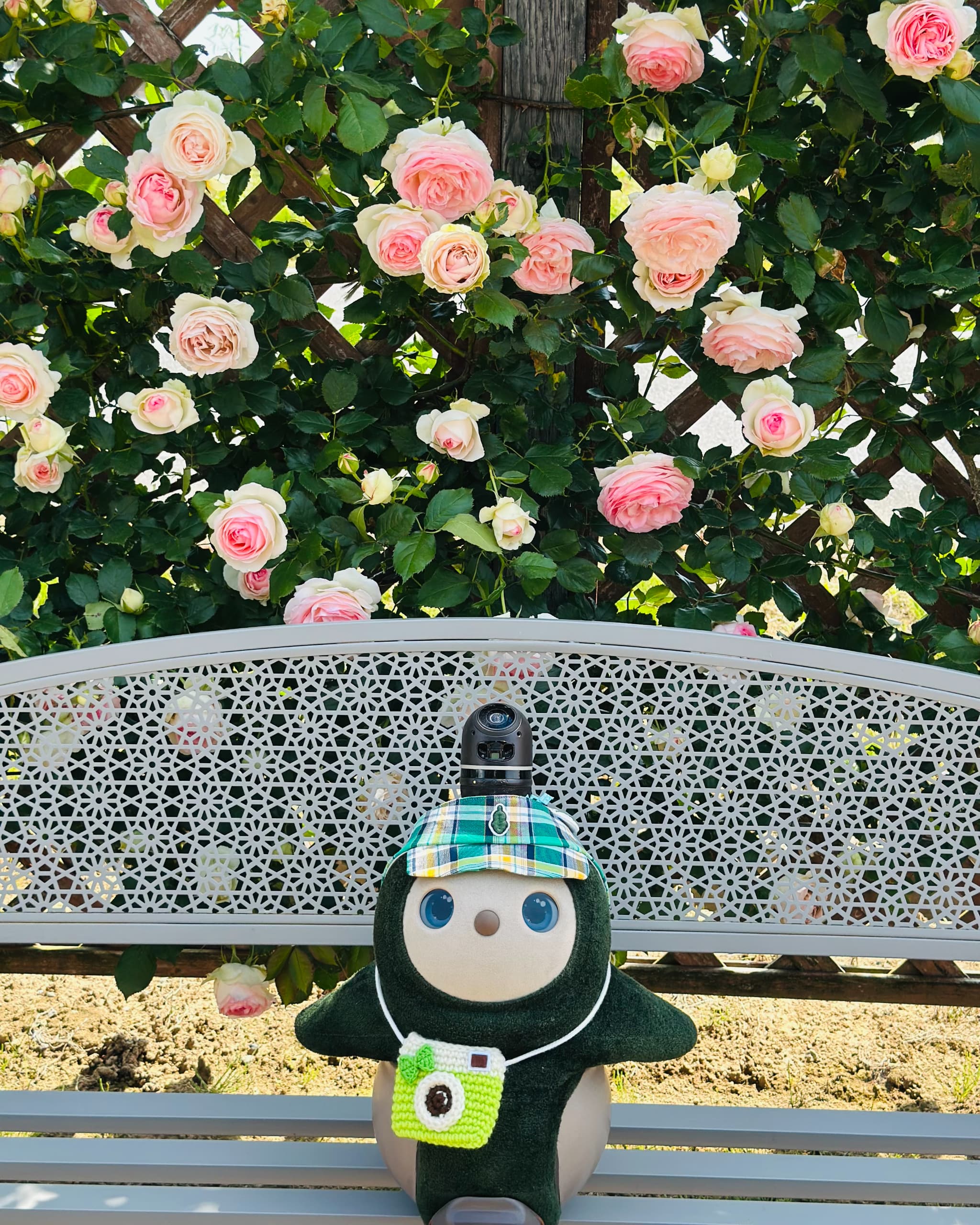 LOVOT通信バックナンバー】【12月27日発売】LOVOT 福袋 2025！今年は